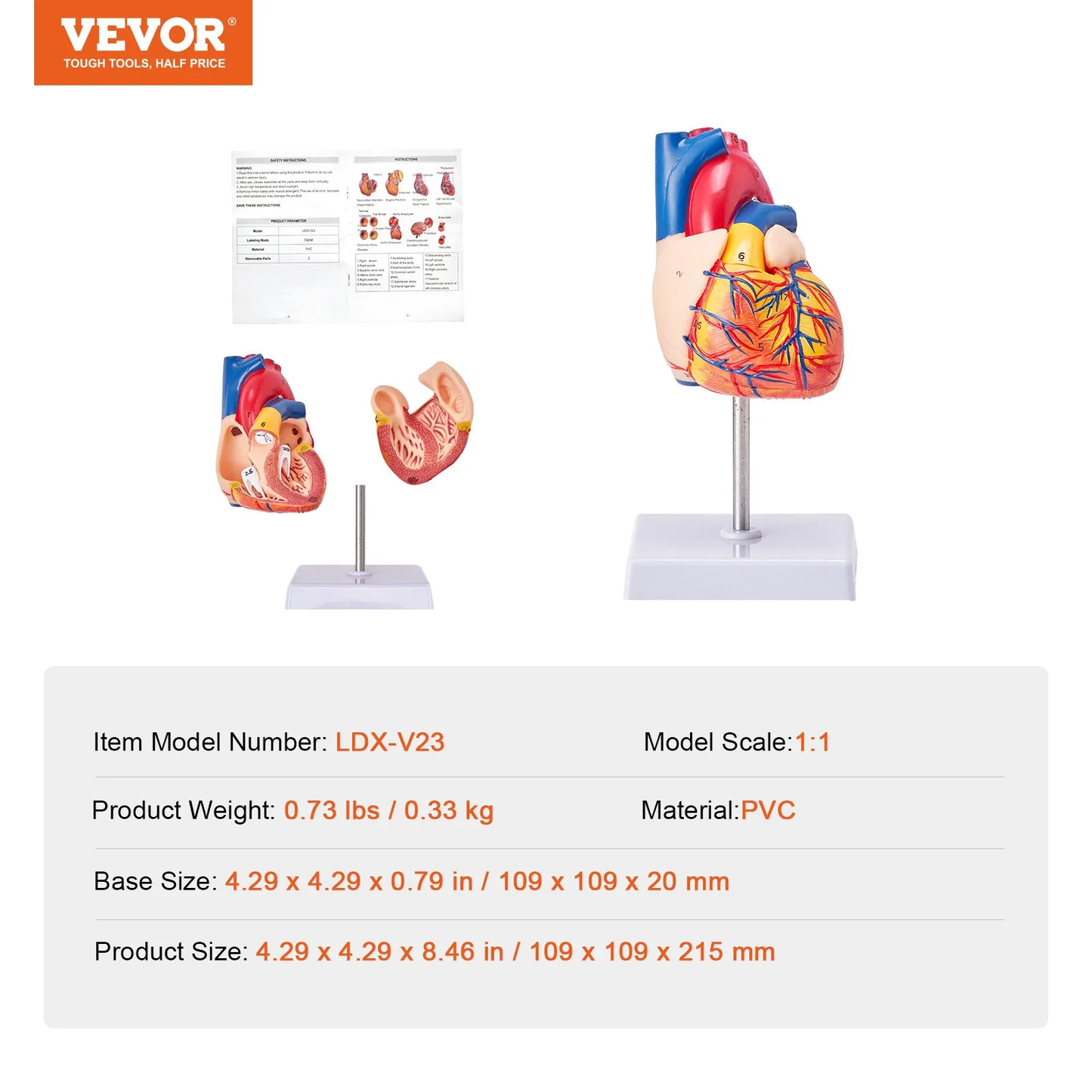 VEVOR Human Heart Model, 2-Part 1:1 Life Size, Anatomically Accurate Numbered Anatomical,-$20