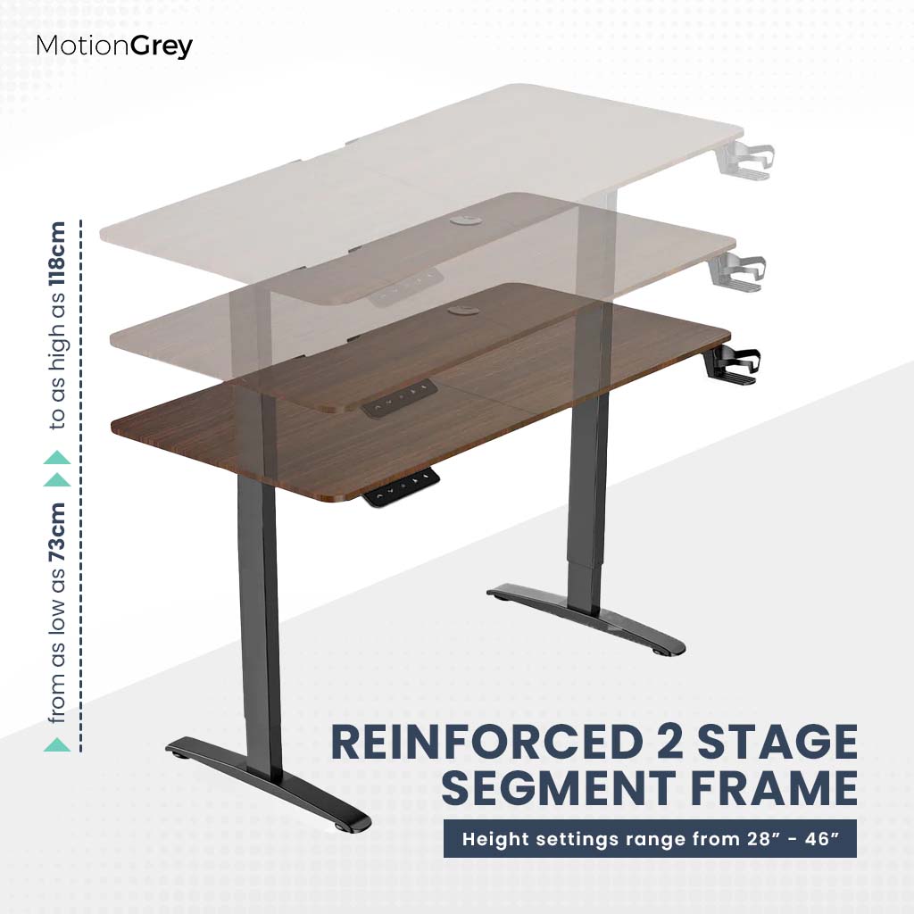 BNIB-Ergo2 Electric Standing Desk, Affordable Office Must-Have Desk, Walnut/Black