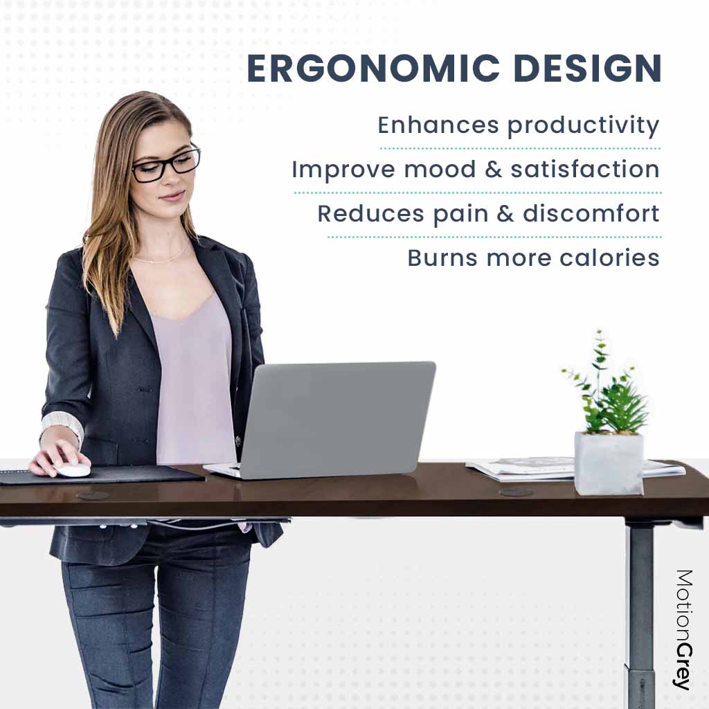 BNIB-Ergo2 Electric Standing Desk, Affordable Office Must-Have Desk, Walnut/Black