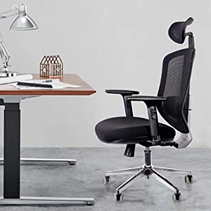 Brand New Ergonomic Office Chair with Lumbar Support and Adjustable Headrest & Armrest - $140