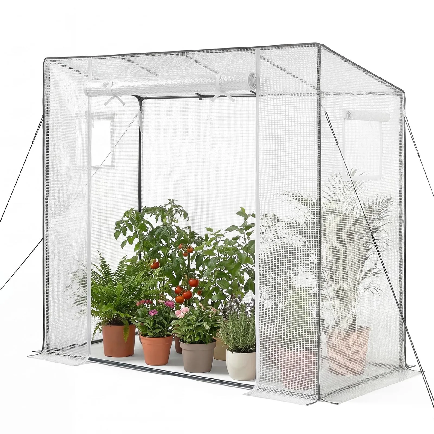 VEVOR Walk-in Greenhouse, 76.8" x 30.3" x 66.1" Greenhouse for Outdoors with Windows, PE Cover,-$35