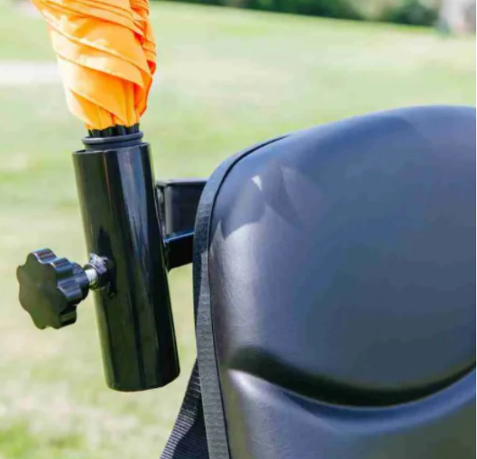 Brand new Go-Rider Electric Golf Buggy, 24V 900W Lithium Battery Golf Cart,CE Certified  ,-$4000