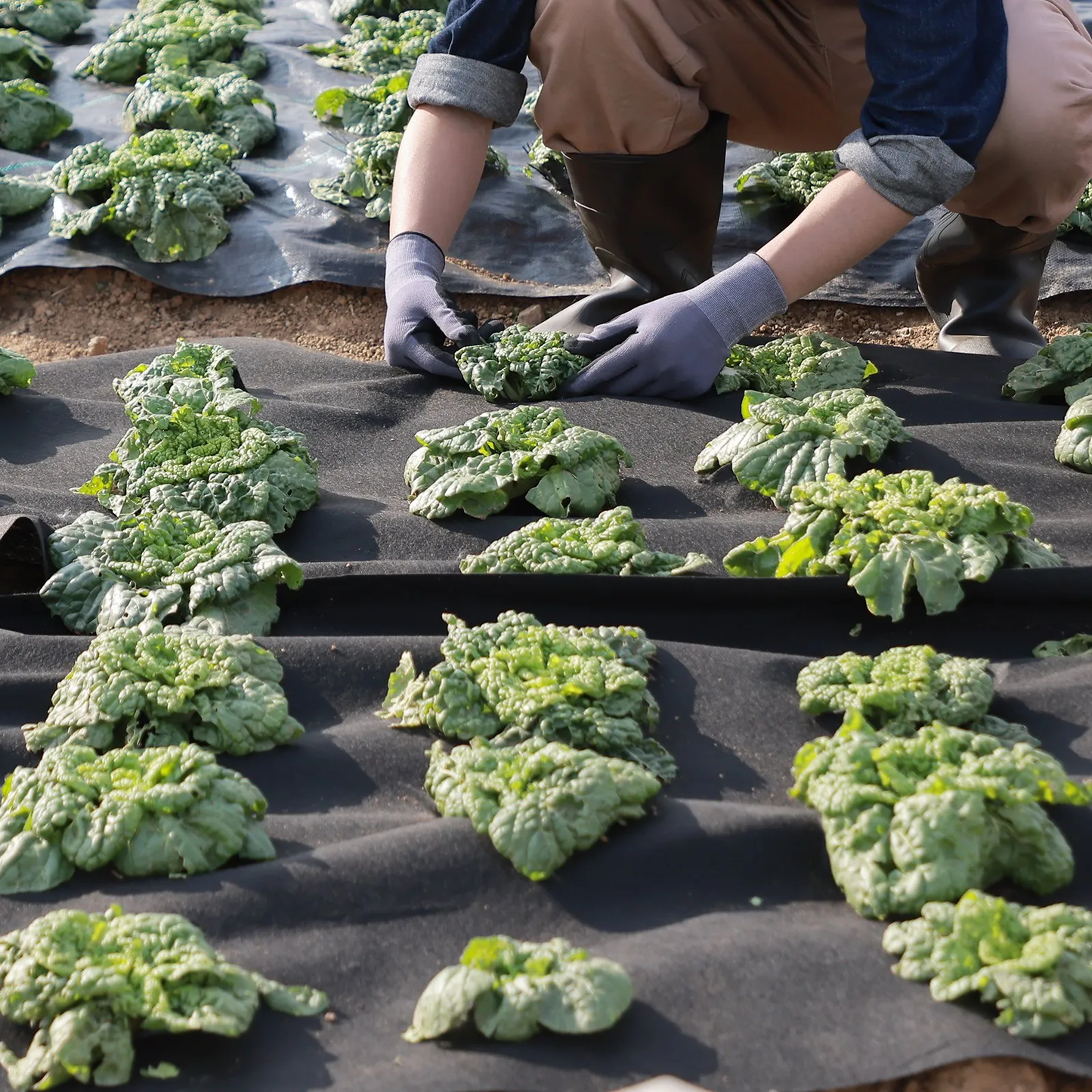 VEVOR Non Woven Geotextile Fabric Under Gravel, 4x100FT 8OZ Driveway Fabric Landscape Fabric