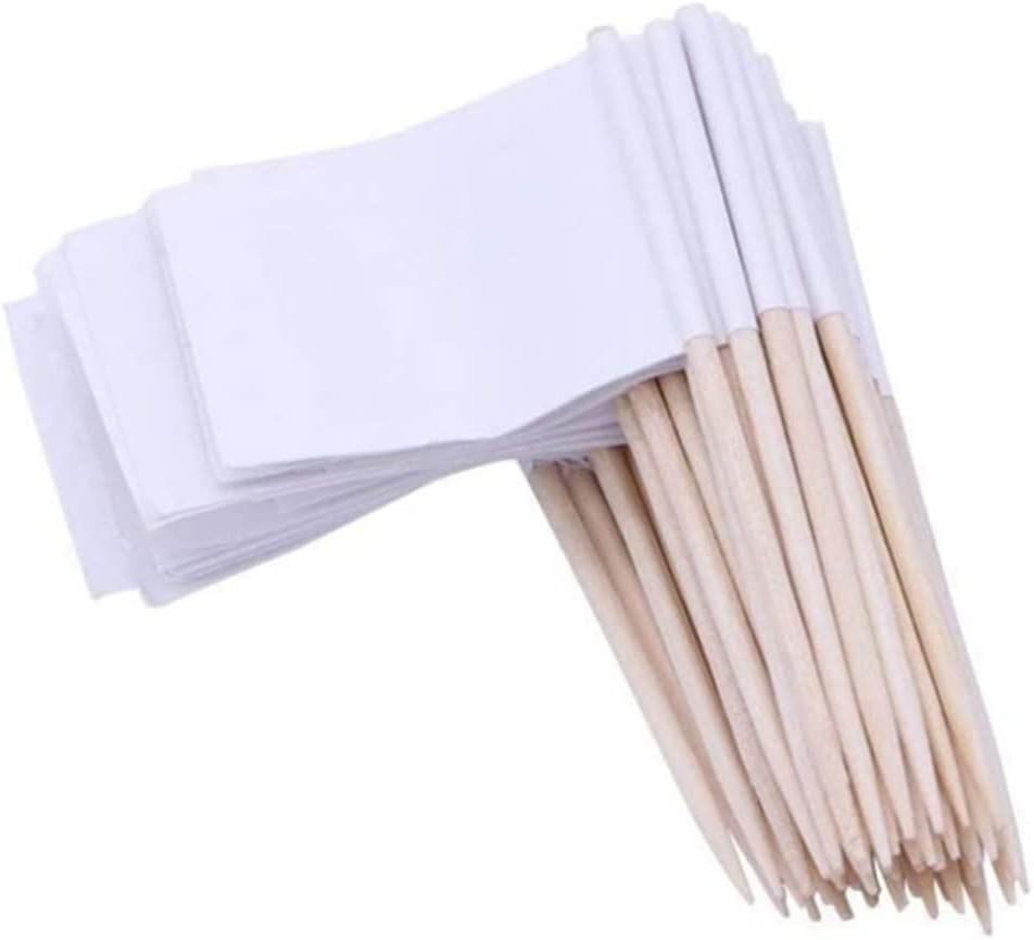 BNIB-100PCS Blank Toothpick Flags Charcuterie Labels Food Labels for Party White Mini Cake Marker,-$5