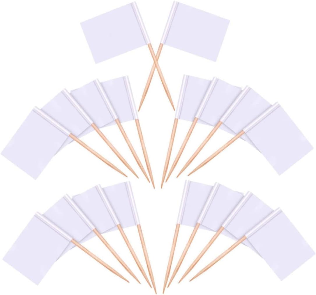 BNIB-100PCS Blank Toothpick Flags Charcuterie Labels Food Labels for Party White Mini Cake Marker,-$5