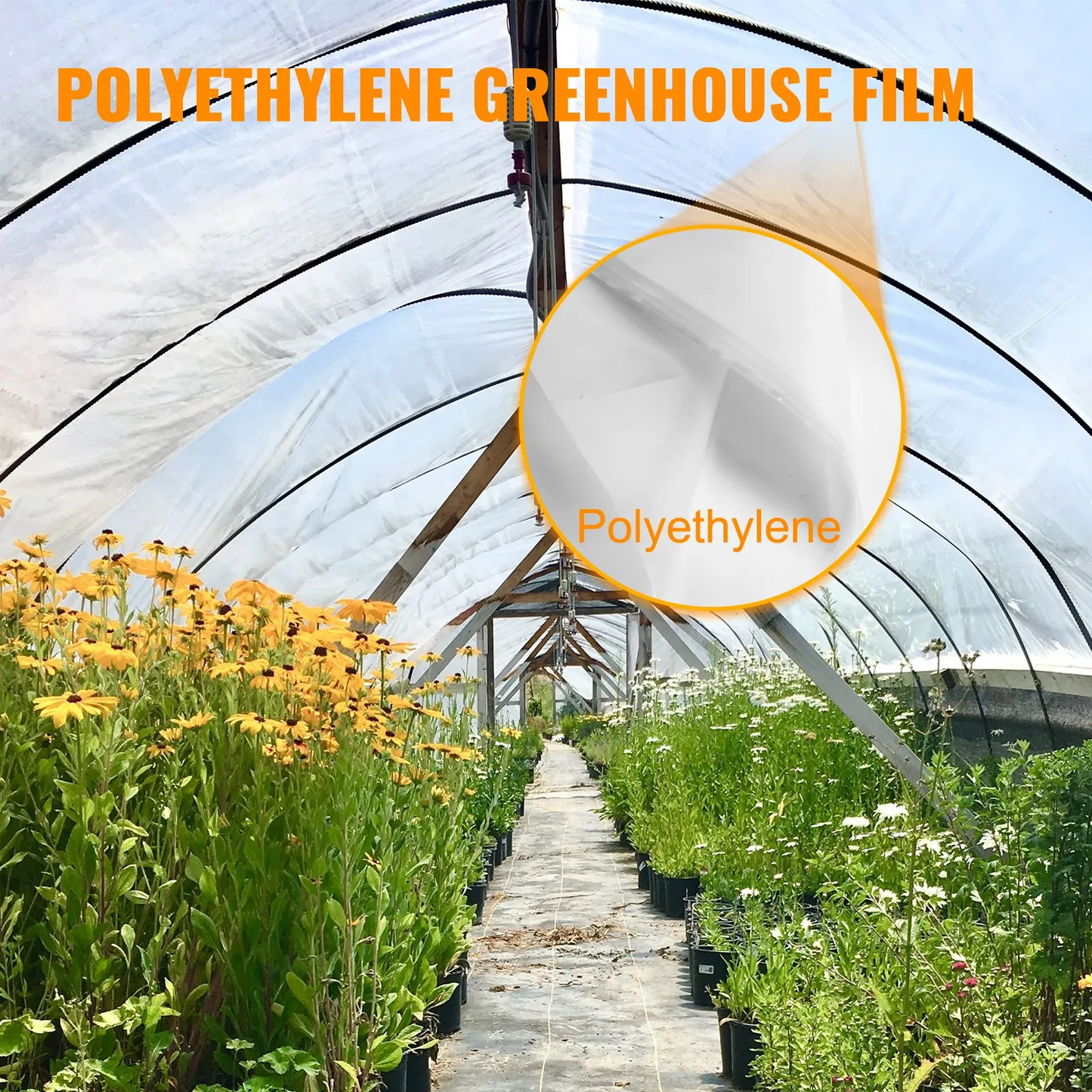VEVOR Greenhouse Film 12 x 25 ft, Greenhouse Polyethylene Film 6 Mil Thickness,UV Resistant,-$25
