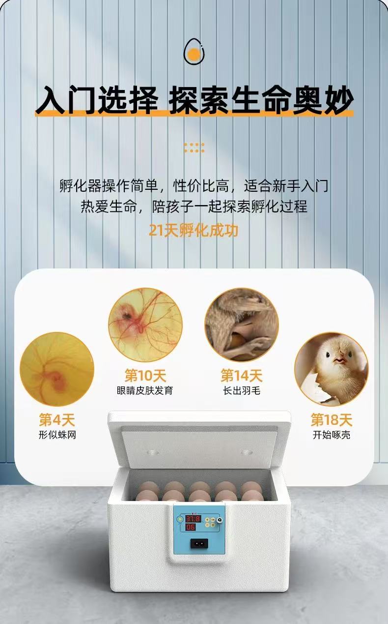 全新的10 个鸡蛋半自动泡沫水床式 USB 蛋孵化器（5V 电压，配备 Type-C 数据线，无电源适配器）-$10