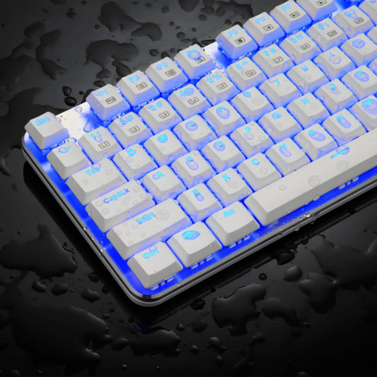 Brand New-EagleTec KG061-BR Blue LED Backlit Mechanical Gaming Keyboard,for PC Gamer – (White)-$20