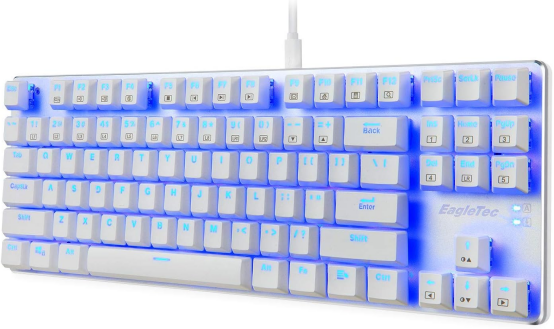 Brand New-EagleTec KG061-BR Blue LED Backlit Mechanical Gaming Keyboard,for PC Gamer – (White)-$20