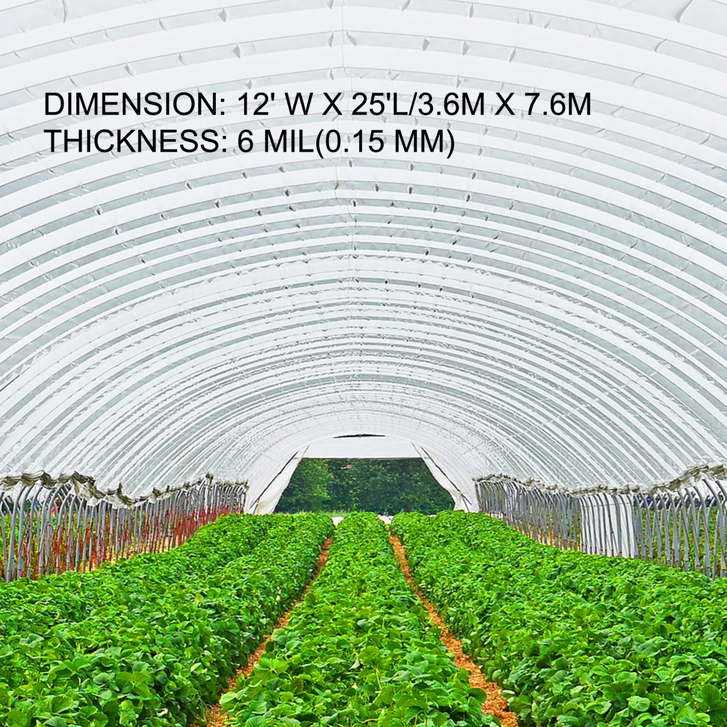 VEVOR Greenhouse Film 12 x 25 ft, Greenhouse Polyethylene Film 6 Mil Thickness,UV Resistant,-$25