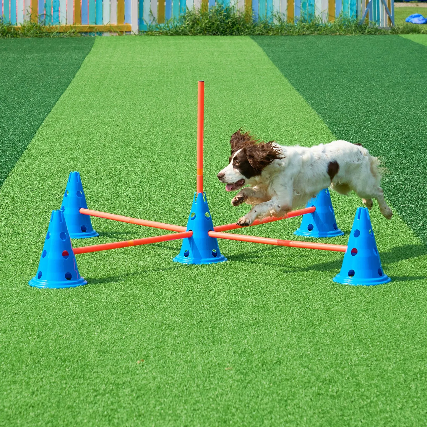 VEVOR Dog Agility Hurdle Cone Set, 6 PCS Kit-12 x Cones, 6 x Agility Rods, Agility Training Equipment,-$35